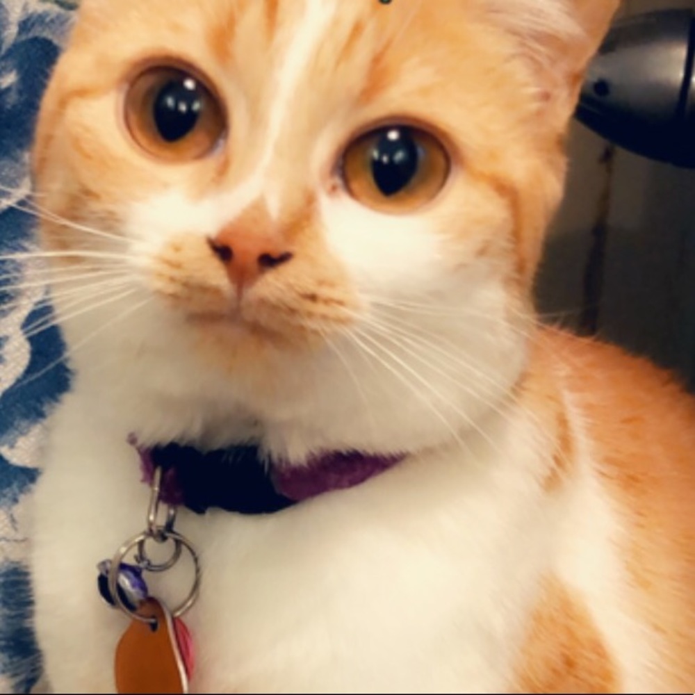 Meet your Posher, Olivia